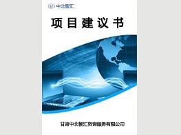 中北智匯咨詢 專業(yè)項(xiàng)目建議書撰寫服務(wù)，性價(jià)比與質(zhì)量兼具
